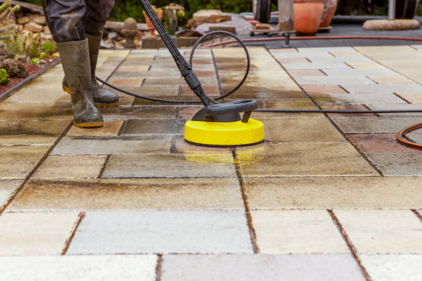 Animal Enclosure Cleaning in Greenhills, OH
