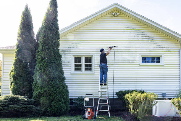 Best Fence Cleaning  in Greenhills, OH